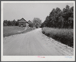 Tobacco barns. Owner living in Mebane in a prosperous Black settlement between Carr and Cedar Grove, Orange County, North Carolina. See general notes on subregion. September 28, 1939. Number three
