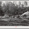 Small abandoned sawmill, between Antioch Church and Highway 54. Southern part of Orange County, North Carolina. See general notes on subregion, Sept. 27, 1939