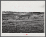 Terraced pastures, three small farms treated as unit for the purpose. Owners are Linnie Bailey, his son and son-in-law (Mr. Mann). Route 93, about four and a half miles south of Graham, Alamance County, North Carolina. See general notes on subregion,