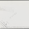 Terraced pastures, three small farms treated as unit for the purpose. Owners are Linnie Bailey, his son and son-in-law (Mr. Mann). Route 93, about four and a half miles south of Graham, Alamance County, North Carolina. See general notes on subregion,