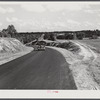 General view of Highway 14 on way to Yanceyville. Caswell County, North Carolina