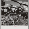 Feeding the sorghum cane into the mill to make syrup on property of Wes Chris, a tobacco farm of about 165 acres in a prosperous Black settlement near Carr, Orange County, North Carolina
