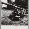 Feeding the sorghum cane into the mill to make syrup on property of Wes Chris, a tobacco farm of about 165 acres in a prosperous Black settlement near Carr, Orange County, North Carolina