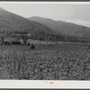 General landscape near Asheville, North Carolina