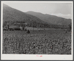 General landscape near Asheville, North Carolina