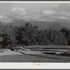 View from steps of Black Mountain College. Black Mountain, North Carolina