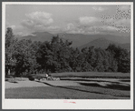 View from steps of Black Mountain College. Black Mountain, North Carolina