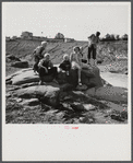Copper miner's children. Copperhill, Tennessee