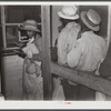 Black day laborers brought in by truck from nearby towns, waiting to be paid off and buy supplies in plantation store on Friday night. Marcella Plantation, Mississippi Delta, Mississippi