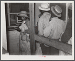 Black day laborers brought in by truck from nearby towns, waiting to be paid off and buy supplies in plantation store on Friday night. Marcella Plantation, Mississippi Delta, Mississippi