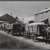 Wagonloads of cotton waiting at the gin of Delta and Pine Land Company of Mississippi, one of the largest plantations in the Delta. Mississippi Delta, Mississippi