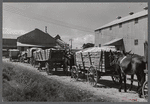 Wagonloads of cotton waiting at the gin of Delta and Pine Land Company of Mississippi, one of the largest plantations in the Delta. Mississippi Delta, Mississippi