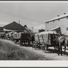 Wagonloads of cotton waiting at the gin of Delta and Pine Land Company of Mississippi, one of the largest plantations in the Delta. Mississippi Delta, Mississippi