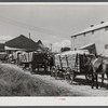 Wagonloads of cotton waiting at the gin of Delta and Pine Land Company of Mississippi, one of the largest plantations in the Delta. Mississippi Delta, Mississippi