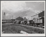 Wagonloads of cotton waiting at the gin of Delta and Pine Land Company of Mississippi, one of the largest plantations in the Delta. Mississippi Delta, Mississippi