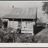 One of the tenant's houses with sweet potatoes and cotton on the porch. Knowlton Plantation, Perthshire, Mississippi Delta, Mississippi