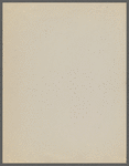 "Official Report Of A Raid"