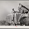 Taking a load of cotton out of the cotton house in the wagon to the gin. Marcella Plantation, Mileston, Mississippi Delta, Mississippi