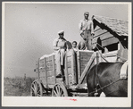 Taking a load of cotton out of the cotton house in the wagon to the gin. Marcella Plantation, Mileston, Mississippi Delta, Mississippi