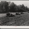 Tractors preparing land for planting oats in the fall after the cotton has been picked and the stalks plowed. Good Hope Plantation, Mileston, Mississippi