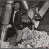 Taking the cotton from the truck into the gin through large metal suction tube. Hopson plantation, Clarksdale, Mississippi