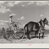 Tenant purchase client Mr. Crowell, near Isola, Mississippi Delta, with new hay rake and mules