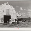 Stock and barn of white tenant purchase client Mr. Crowell, near Isola, Mississippi Delta
