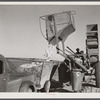 Dumping the cotton from the International cotton picker into the truck on Hopson Plantation, near Clarksdale, Mississippi Delta