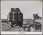 Truck with bales of cotton from Hopson Planting Company gin going up highway to warehouse near Clarksdale, Mississippi Delta