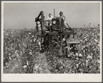 The rust cotton picker in field at Clover Hill Plantation, near Clarksdale, Mississippi Delta