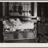 Pressing the cotton into a bale at gin. Hopson Plantation, Clarksdale, Mississippi Delta