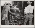 Removing chinese hair mat from cake of cottonseed meal. This meal is fed to cattle. Clarksdale, Mississippi Delta