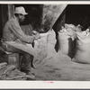 Bagging the cottonseed meal in oil plant. Clarksdale, Mississippi Delta