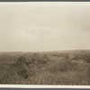 View at Sebonac Neck. Sebonac Neck, Southampton