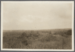 View at Sebonac Neck. Sebonac Neck, Southampton