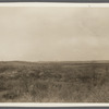 View at Sebonac Neck. Sebonac Neck, Southampton