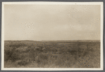 View at Sebonac Neck. Sebonac Neck, Southampton