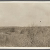 View at Sebonac Neck. Sebonac Neck, Southampton