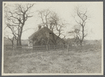 White farmhouse. NE corner Montauk Highway and Flying Point Road. Southampton, Southampton