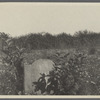 Southend Burying Ground. West of Little Plains Lane, between Meetinghouse Lane and Toylsome Lane. Opened 1649. Southampton, Southampton
