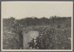 Southend Burying Ground. West of Little Plains Lane, between Meetinghouse Lane and Toylsome Lane. Opened 1649. Southampton, Southampton
