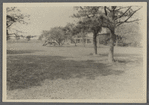 Brewster house. North side Montauk Highway, west side of Quantuck Bay, west of village. Quogue, Southampton