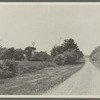 View of road, showing Roger Cook house. Hay Ground. Bridgehampton, Southampton
