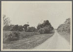 View of road, showing Roger Cook house. Hay Ground. Bridgehampton, Southampton