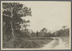 House. North of road to Sag Harbor, east of North Sea. North Sea, Southampton
