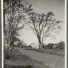 Capt. J.R. Rose house. East side of road to North Sea. North Sea, Southampton