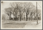 Fanny Bell house. NE corner Main Road and Sagg Highway. Built by County Judge Abram Topping Rose (b. 1792, d. here 1857). Bridgehampton, Southampton
