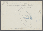 Haven house. North side road to Sag Harbor, east of North Sea. North Sea, Southampton