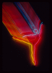 Neon graphics created for Joffrey Ballet marketing