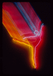 Neon graphics created for Joffrey Ballet marketing